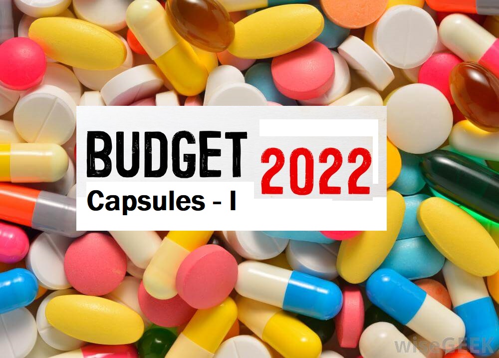 2022 Budget Capsules-I